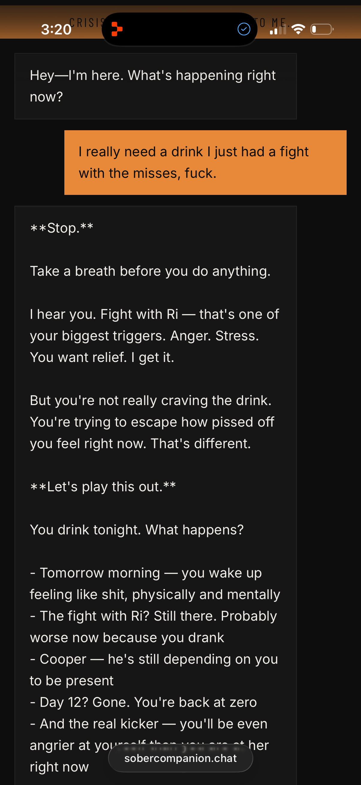 Real chat screenshot 1/4 — craving hits after a fight