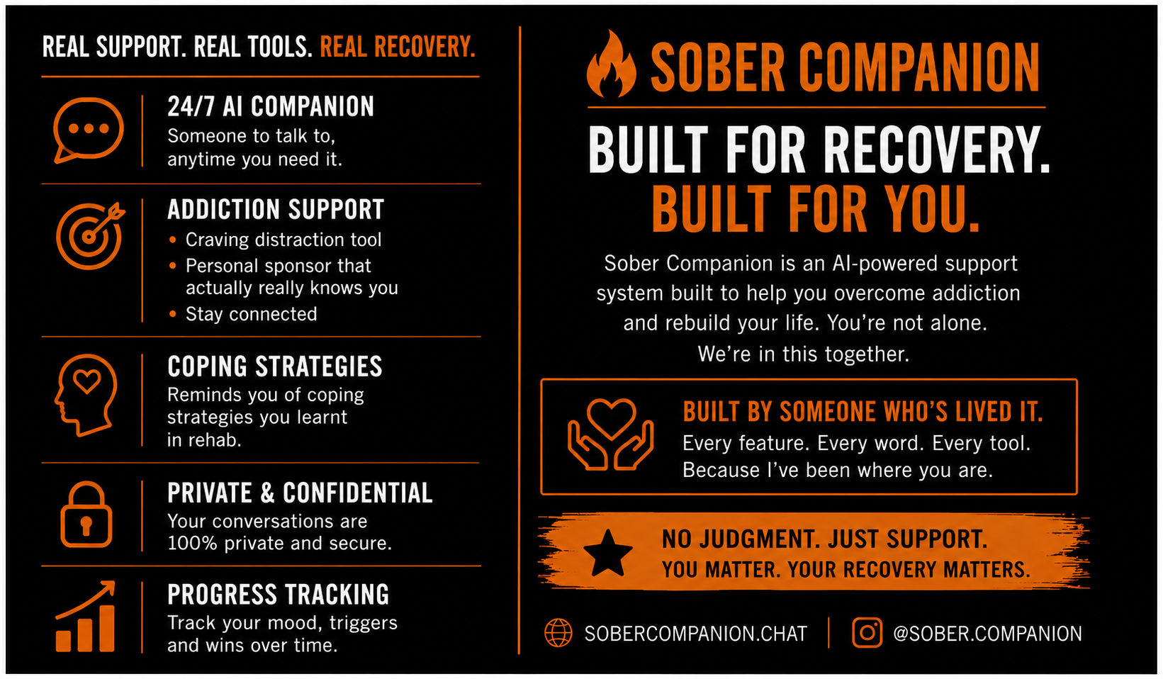 Sober Companion feature infographic — landscape banner