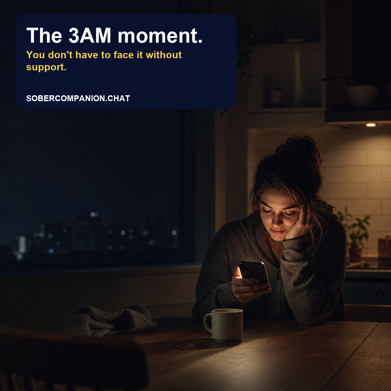 Sober Companion — The 3AM Moment