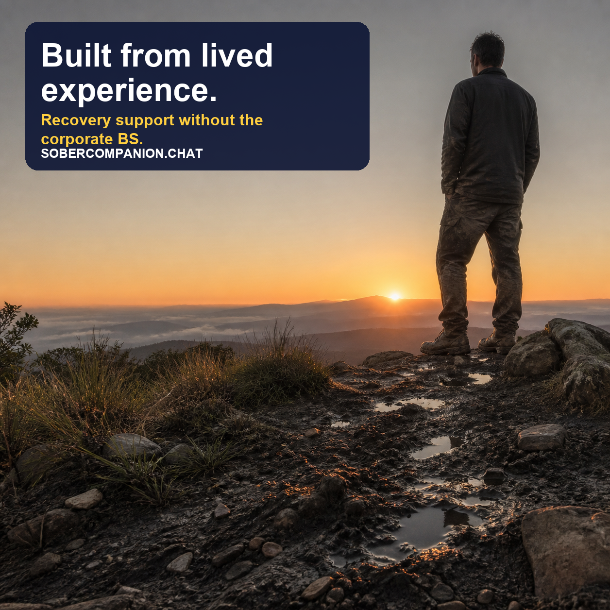 Sober Companion — Built From Lived Experience
